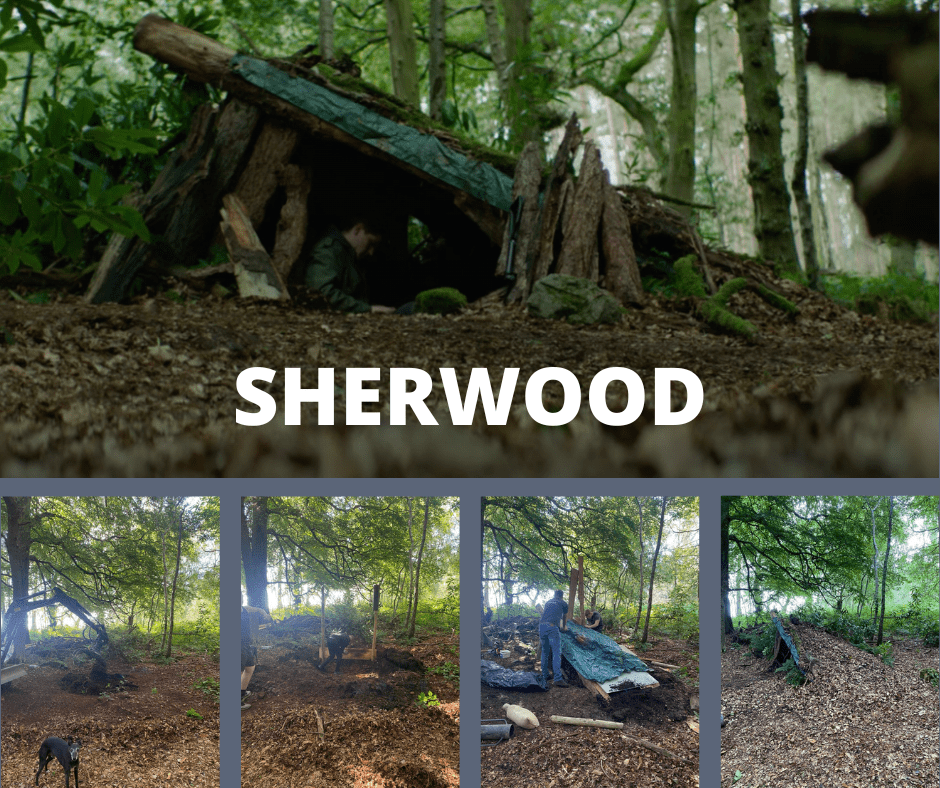 Sherwood -den building - landscaping-greenery and props-film and tv